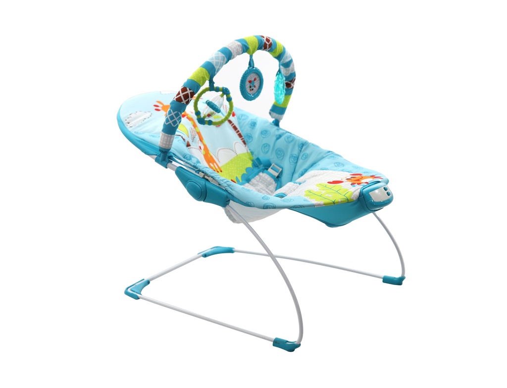 Premium Baby Music &amp; Soothe Bouncer Boys