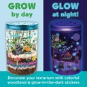 Grow n Glow Terrarium
