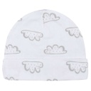 Caps 4pk 0-6M Baby Animals