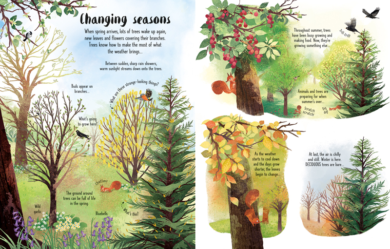 Advanced Lift-The-Flap  Trees
