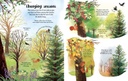 Advanced Lift-The-Flap  Trees