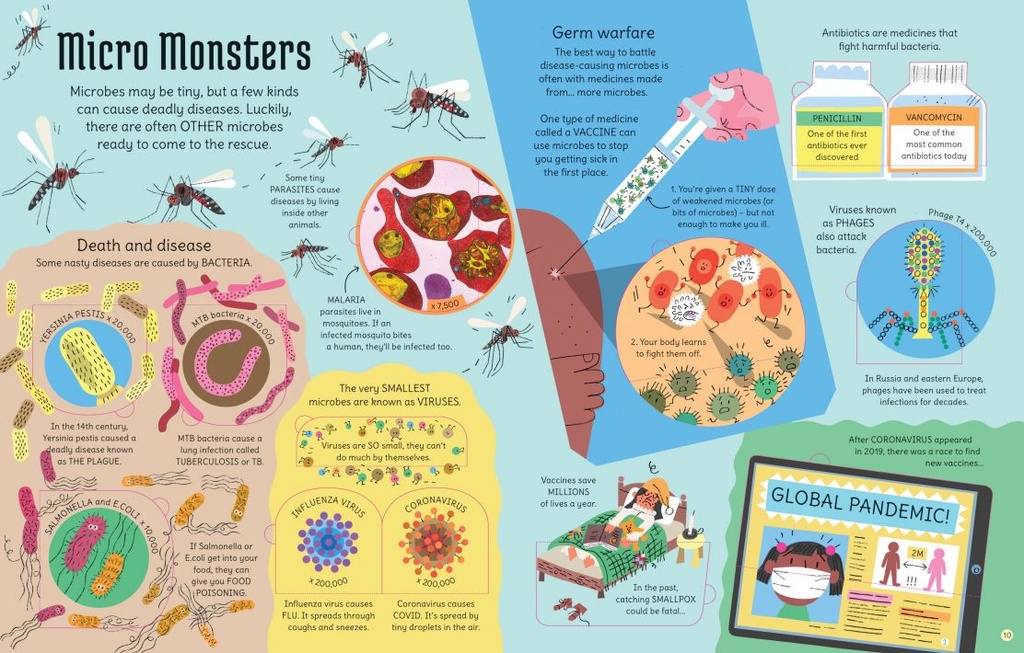 See Inside Microscopic World