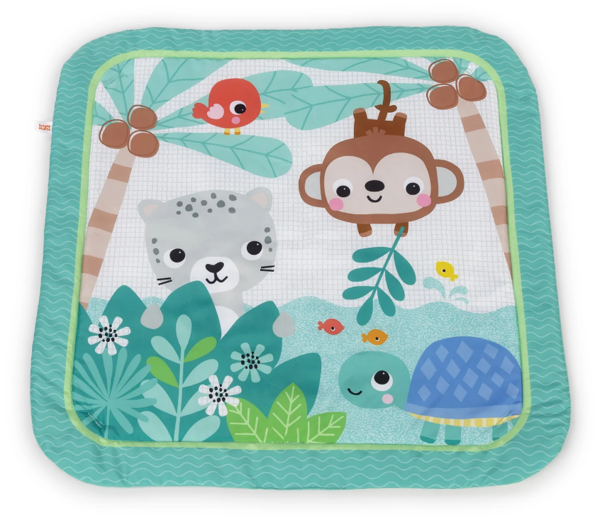 Bright Starts Activity Gym