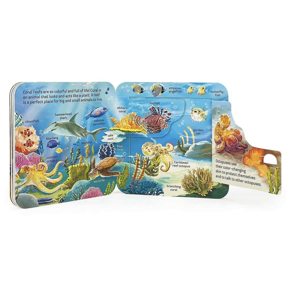 Peek A Flap Ocean