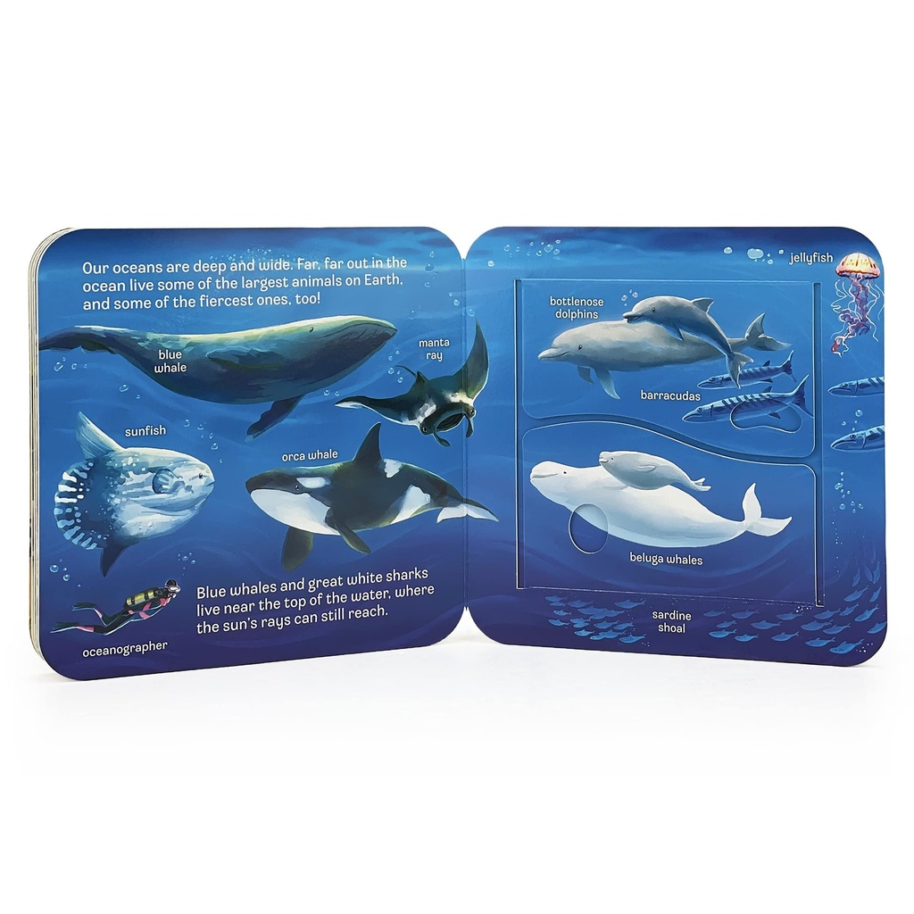 Peek A Flap Ocean