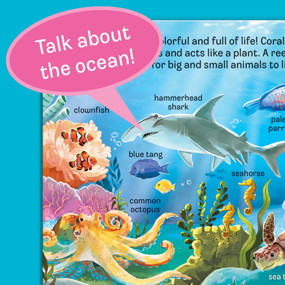 Peek A Flap Ocean