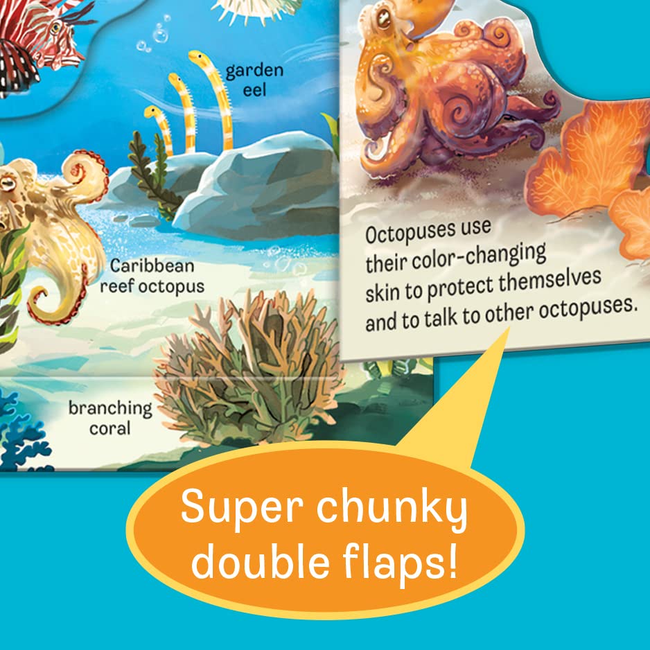 Peek A Flap Ocean