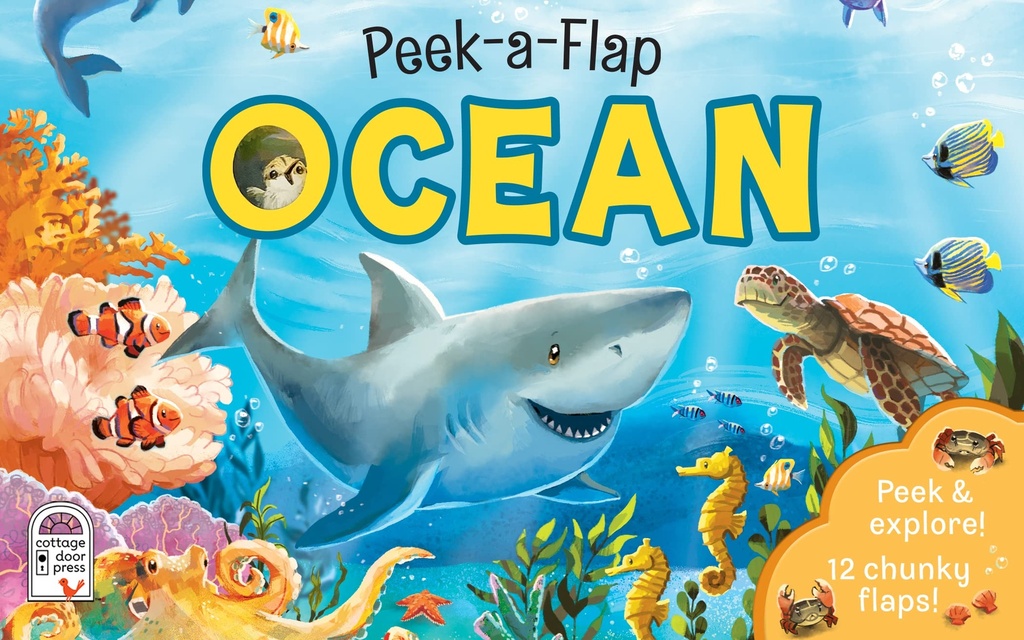Peek A Flap Ocean
