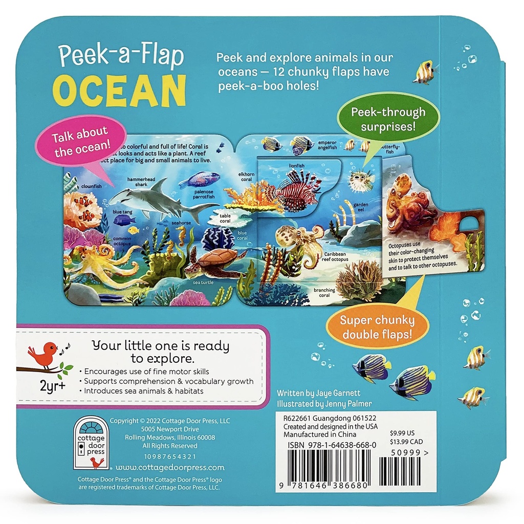 Peek A Flap Ocean