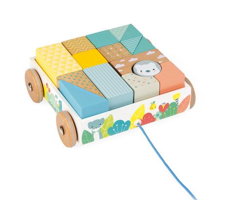 Pure Pull-Along Blocks Cart