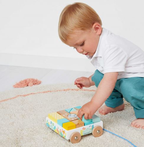 Pure Pull-Along Blocks Cart