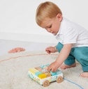 Pure Pull-Along Blocks Cart