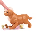 Barbie Doll & Puppies Playset