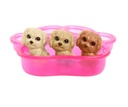 Barbie Doll & Puppies Playset