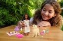 Barbie Doll & Puppies Playset AA