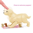 Barbie Doll & Puppies Playset AA