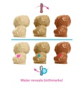 Barbie Doll & Puppies Playset AA