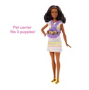 Barbie Doll & Puppies Playset AA
