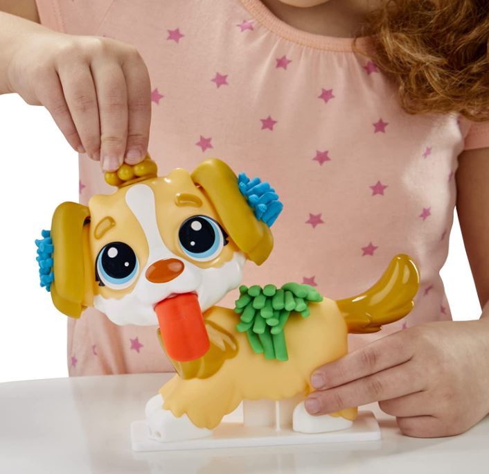 Play-Doh Care n Carry Vet
