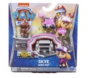 Paw Patrol Big Truck Hero Pups Asst.