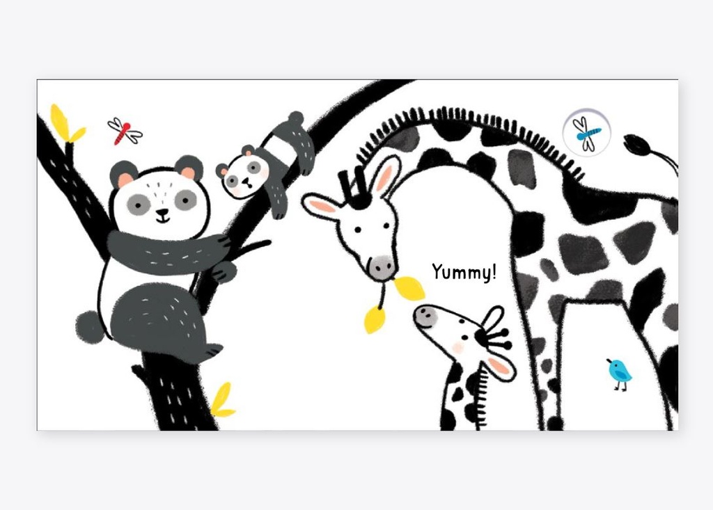 Baby's Black & White Books - Animals