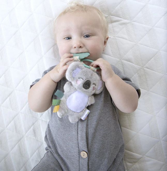 Itzy Pal Infant Toy - Kayden the Koala