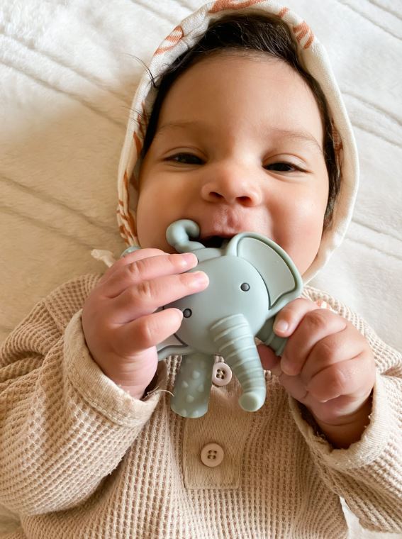 Ritzy Molar Teether - Elephant