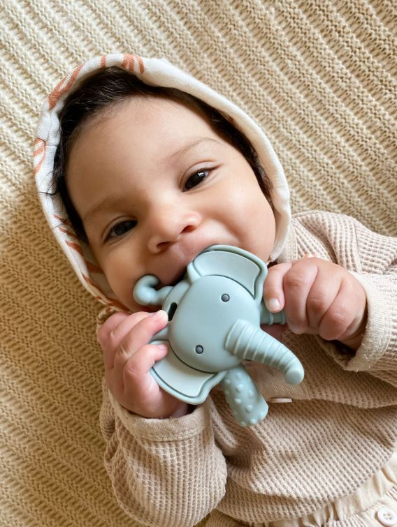 Ritzy Molar Teether - Elephant