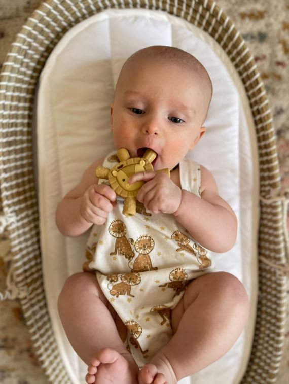 Ritzy Molar Teether - Lion