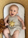 Ritzy Molar Teether - Lion