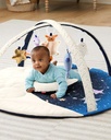 Celestial Dreams Activity Gym