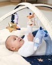 Celestial Dreams Activity Gym