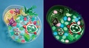 Glow in the Dark Turtle Lagoon