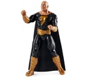 Black Adam Figure 12in Assorted