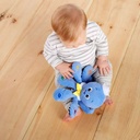 Baby Einstein Octoplush Musical Toy