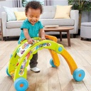 3 in 1 Activity Walker