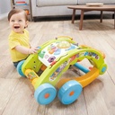 3 in 1 Activity Walker
