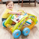 3 in 1 Activity Walker