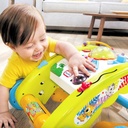 3 in 1 Activity Walker