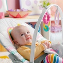 Rosy Rainbow Infant to Toddler Rocker