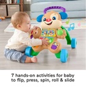 Fisher Price Laugh & Learn Puppy Walker