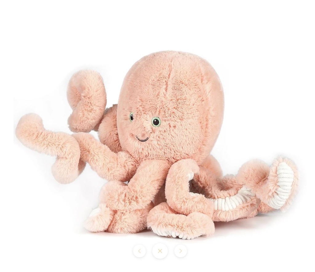 Little Cove Octopus
