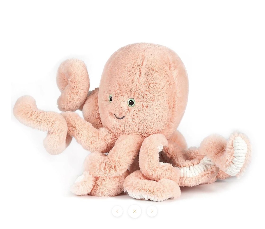 Little Cove Octopus