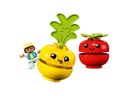 Lego DUPLO Fruit and Vegetable Tractor