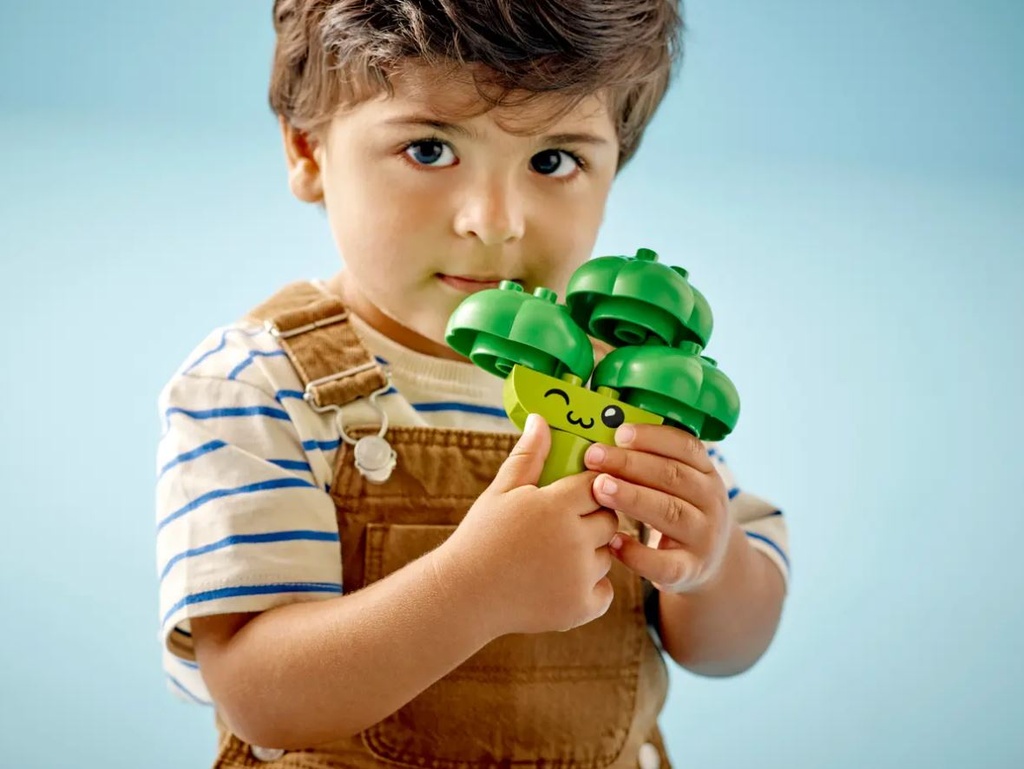 Lego DUPLO Fruit and Vegetable Tractor
