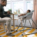 Ingenuity Beanstalk High Chair