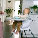 Ingenuity Beanstalk High Chair