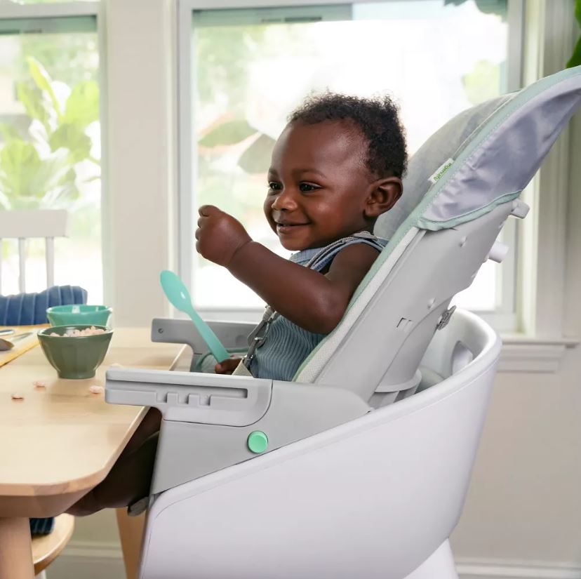 Ingenuity Beanstalk High Chair