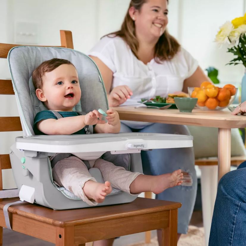 Ingenuity Beanstalk High Chair