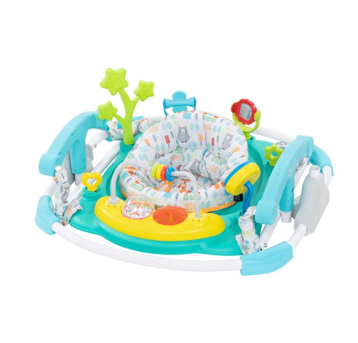 Smart Steps Bounce n' Play Jumper - Fun Geo Forest